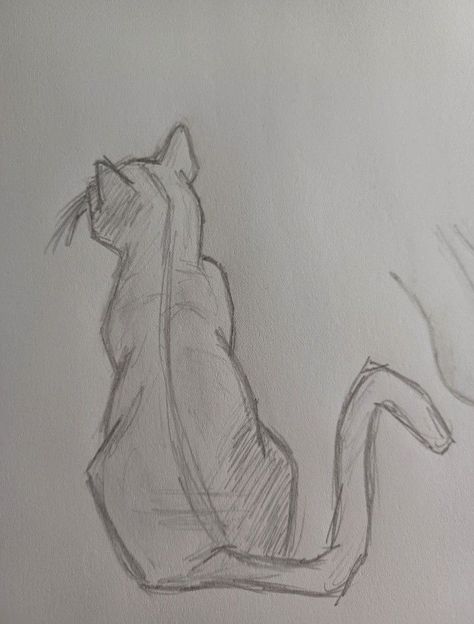 Cat Lying On Back Drawing, Back Of Cat Drawing, Sand Cat Drawing, Drawing Ideas Cat Sketch, Girl Holding Cat Drawing, Cat Looking Up Drawing, Fast Drawing Ideas, Cat Drawing Sitting, Scared Cat Drawing