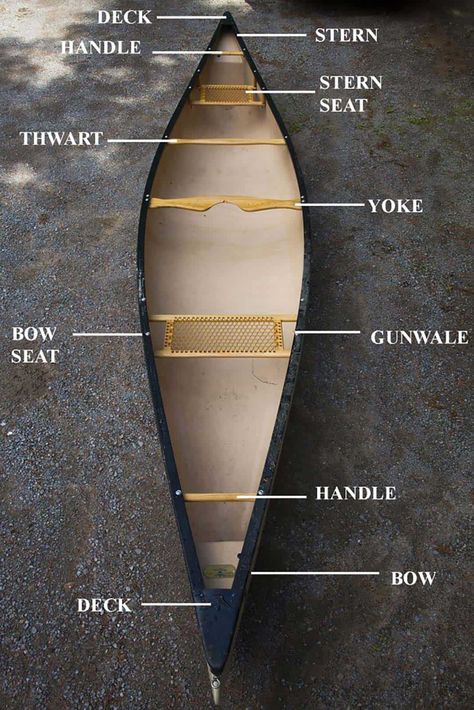 Canadian Canoe, Canoe Plans, Cedar Strip Canoe, Kayak Boat, Canoe Fishing, Canoe Camping, Canoe Boat, Hobbies For Couples, Kayak Boats