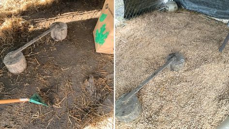 How to fix a muddy chicken run - Dani's Midlife Homestead Chicken Droppings Board, Chicken Run Flooring Ideas, Muddy Chicken Run Ideas, Pea Gravel Chicken Run, Muddy Chicken Run, Winterizing Chicken Run, Chicken Run Bedding, Chicken Pens, Chicken Run Boredom Busters