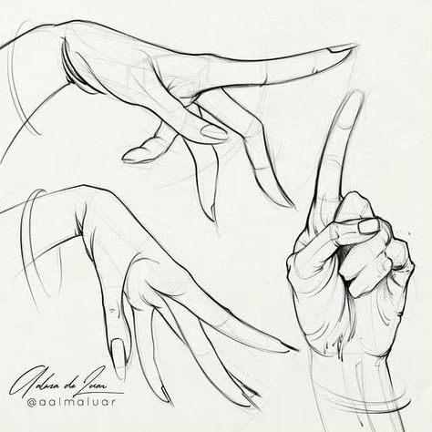 Female Hand Drawing, Body Type Drawing, Human Anatomy Drawing, Drawing Examples, Manga Drawing Tutorials, Hand Drawing Reference, Hand Reference, Anatomy Drawing, Art Prompts