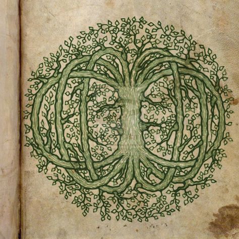 Arbre de vie / Tree of Life Symbol Ideas, Tree Of Life Images, Tree Of Life Artwork, Celtic Pagan, Celtic Artwork, Tree Of Knowledge, Mayan Symbols, Tree Of Life Art, Cosmic Consciousness