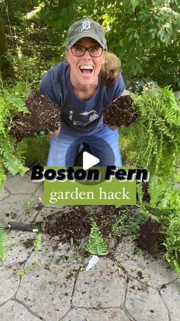 Hooks For Hanging Baskets, Potted Ferns Front Porches, Boston Fern Planter Ideas, Fern Planters, Garden Hack, Garden Tricks, Smash Mouth, Fern Plants, Hanging Ferns