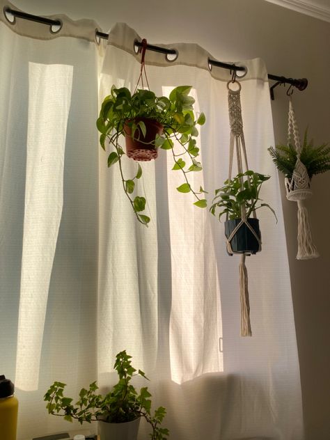 Window Plant Hanging, Plants In Dorm, Pinterest Room Decor, Bedroom Plants, Plant Decor Indoor, Cute Bedroom Decor, Plant Aesthetic, Cozy Room Decor, House Plants Decor