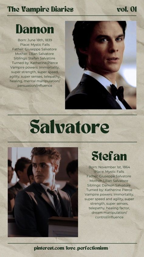 The Vempaier Dairies, Salvatore Brothers Wallpaper, Salvator Brothers, Stefan And Damon Salvatore, Damon Salvatore Wallpaper, The Vampire Diaries Wallpaper, Stefan And Damon, The Vampire Diaries Damon, Cer Nocturn