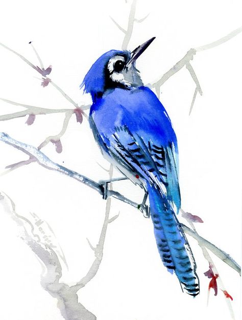 Buy Blue Jay, Watercolor by Suren Nersisyan on Artfinder. Discover thousands of other original paintings, prints, sculptures and photography from independent artists. Watercolor Blue Jay, Blue Jay Art, Bluebird Watercolor, Suren Nersisyan, Bird Painting Acrylic, Black Bird Tattoo, Bird Watercolor Paintings, Watercolor Birds, Bird Watercolor