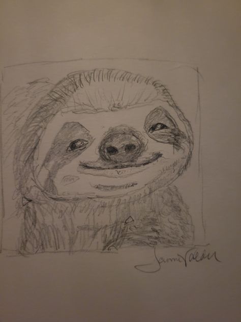 Sloth Drawing Reference, Sloth Sketch Simple, Easy Sloth Drawing, How To Draw A Sloth, Sloths Drawing, Sloth Drawings, Cute Sloth Drawing, Sloth Sketch, Sloth Doodle