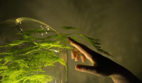 A new lamp designed by Dutch company uses the photosynthetic process to derive power from living plants. Earth Powers, Chemical Energy, Plant Magic, Magic Aesthetic, Magic Powers, Plant Powered, Photosynthesis, Green Energy, Alternative Energy