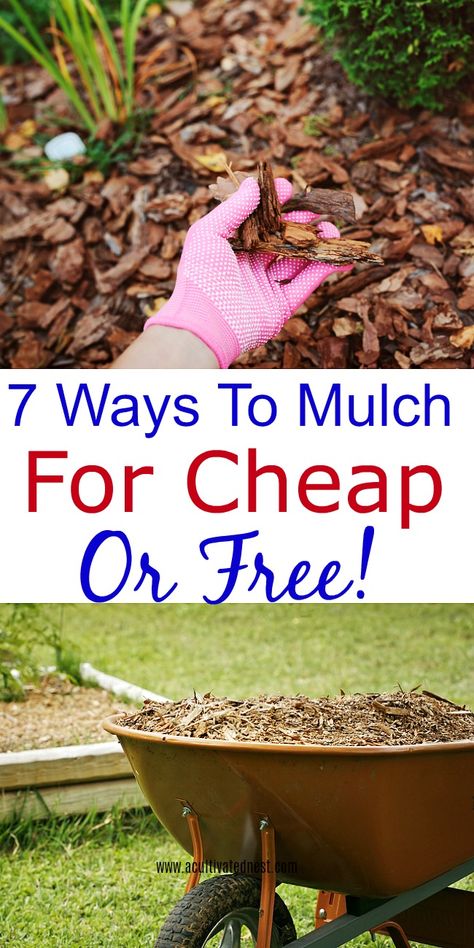 How to find free or cheap mulch-Do you need to apply a layer or two of mulch to your garden or landscaping? Take a look at these ways to mulch for cheap or free! #gardening #mulchlandscapingideas #mulch #frugal #frugalgardening #acultivatednest Mulch Free Landscaping, Cheap Mulch Alternatives, Diy Mulch Landscaping, Garden Mulch Ideas Yard Landscaping, How To Mulch Landscaping, Best Mulch For Flower Beds, Best Mulch For Landscaping, Mulch Landscaping Ideas Backyard, How To Mulch Around Trees