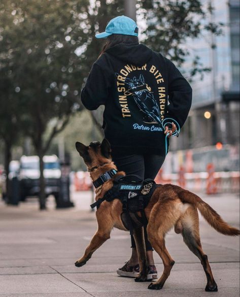 Search And Rescue Dogs Gear, Belgium Malinois Training, Dog Training Photography, Belgian Malinois Service Dog, Dog Handler Aesthetic, Working Dog Photography, Dog Trainer Aesthetic, Belgian Malinois Aesthetic, Igp Dog