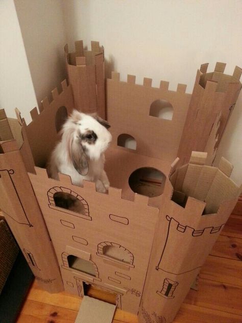 Bobby - King of the castle :)                                                                                                                                                                                 More Bunny Diy Toys, Bunny Castle, Rabbit Castle, Diy Bunny Toys, Pet Rabbit Care, Cardboard Castle, Bunny Room, Raising Rabbits, Indoor Rabbit