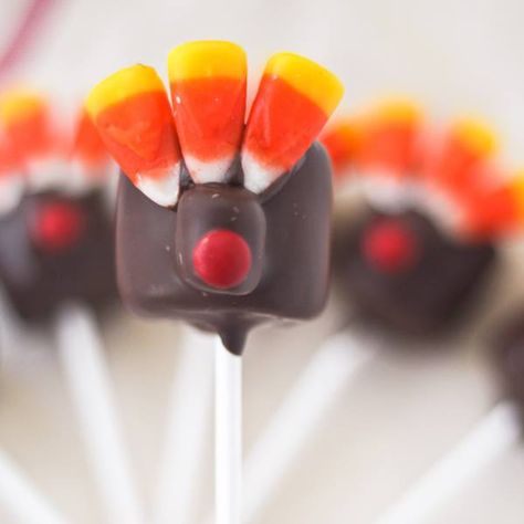 Happy Turkey Day! These ��🦃 marshmallow pops are adorable and easy to make! Marshmallow Turkey, Best Marshmallow Recipe, Kids Thanksgiving Treats, Marshmallow Crafts, Campfire Marshmallows, Marshmallow Treats, Happy Turkey Day, Recipes With Marshmallows, Thanksgiving Food Desserts