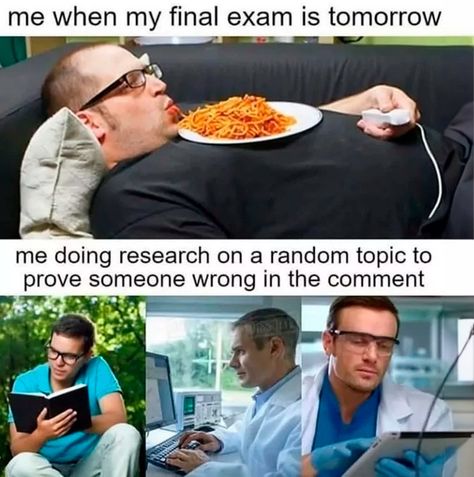 Exams Memes, Celebrity Facts, Final Exam, Memes Humor, Solar Eclipse, Jokes Quotes, Really Funny Pictures, Really Funny Memes, Super Funny