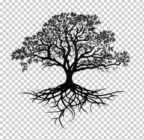 Tree With Roots Drawing, Oak Drawing, Live Oak Tree Tattoo, Oak Tattoo, Southern Live Oak, Tattoo Clipart, Oak Tree Drawings, Oak Tree Silhouette, Roots Drawing