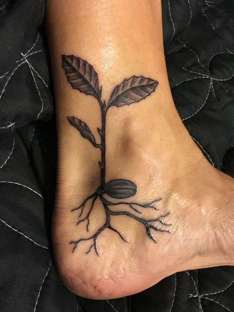 Tattoo of a tanoak seedling (Notholithocarpus densiflorus). Seed Growing Tattoo, Plant Roots Tattoo, Pecan Tree Tattoo, Ankle Plant Tattoo, Arm Crease Tattoo Inner, Root Tattoo Ideas, Bean Sprout Tattoo, Seedling Tattoo, Environment Tattoo