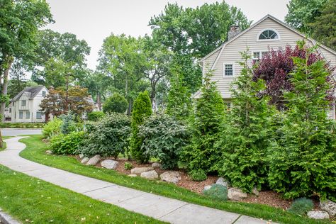 Corner Landscaping, Green Giant Arborvitae, Pine Garden, Evergreen Landscape, Privacy Landscaping, Small Front Yard, Rock Garden Design, Front Yard Design, Traditional Homes