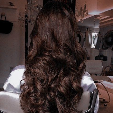 Shampoo Bomba, Long Indian Hair, Hair Color Chocolate, Brown Hair Looks, Brown Hair Inspo, Chocolate Hair, Hairstyles For Layered Hair, Long Dark Hair, Hair Appointment