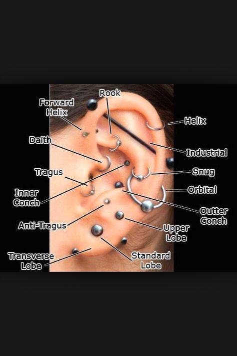 All the possible places to get your ears pierced Ear Piercing Diagram, Different Types Of Piercings, Ear Piercings Chart, Piercing Chart, Glam Punk, Jewelry Questions, Types Of Ear Piercings, Cool Ear Piercings, Piercings For Girls