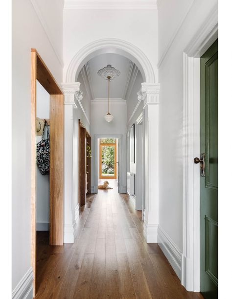 A Green New Addition For An Ageing Edwardian Home Statement Hallway, Edwardian Terrace House, Minimalist Entryway, Green Backyard, Plaster Wall Lights, Solar Design, Edwardian House, Melbourne House, Edwardian Style