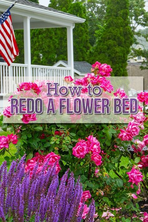 Backyard Flowers Beds, Rose Garden Landscape, Flower Bed Edging, Front Flower Beds, Raised Flower Beds, Flower Bed Designs, Diy Rose, Flower Bedding, Cheap Flowers