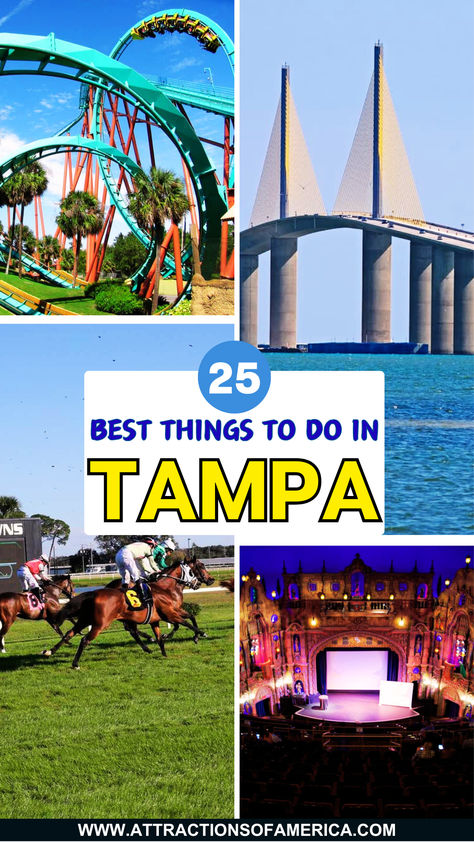 25 best things to do in Tampa. Things To Do In Tampa Florida, Tampa Florida Things To Do In, Tampa Aesthetic, Nature Parks, Things To Do In Tampa, Sunshine Skyway Bridge, Florida Travel Destinations, Ybor City, Serene Nature