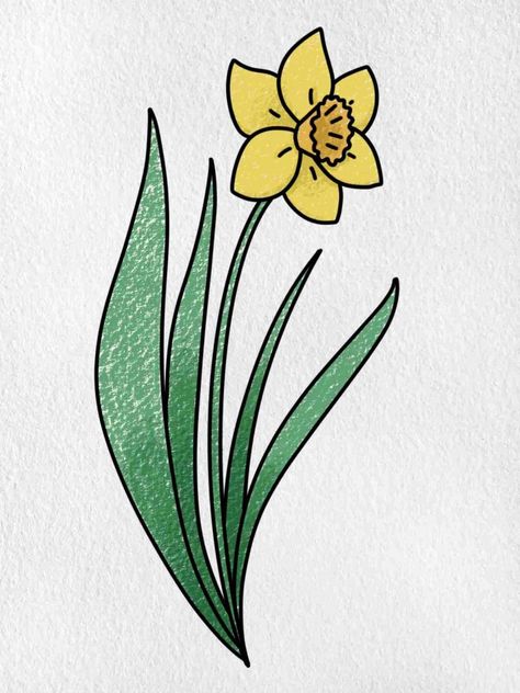 Easy to Draw Flowers - HelloArtsy Pictures Of Daffodils, Learn To Draw Flowers, Painters Tape Art, Daffodil Images, Flower Bouquet Drawing, Spring Drawing, Easter Drawings, Easy Flower Drawings, Draw Flowers