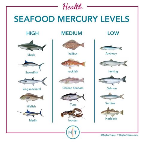 Guide To Eating Fish: Choosing Healthy and Sustainable Options Healthy Fish To Eat, Fish Types To Eat, Different Types Of Fish To Eat, Cold Water Fish To Eat, Types Of Seafood, Raising Fish For Food, Healthiest Fish To Eat, Types Of Fish To Eat, Best Fish To Eat