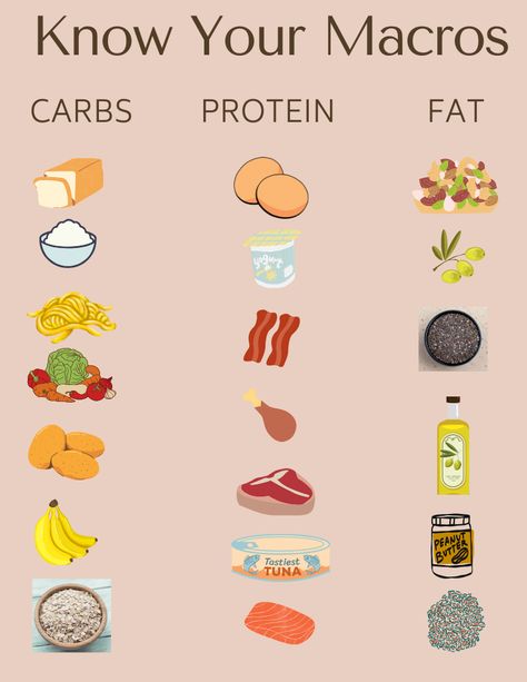 Above is a quick list reference to macros needed to provide your body with energy and maintain staying full! A recommended amount is 40-50% in carbs, 30% protein and 20-30% fats. Food Groups Chart, Macro Food List, Carbs And Protein, Bio Project, Carbohydrates Food List, Carbs List, Vitamin Charts, Protein Meal Plan, Low Carb Food List