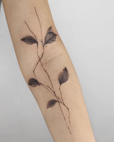 This 𝗹𝗲𝗮𝗳 𝘁𝗮𝘁𝘁𝗼𝗼, with its detailed veins and monochromatic black ink, symbolizes growth, renewal. - 𝗩𝗜𝗖𝗘𝗡𝗧𝗘𝗥 𝗧𝗔𝗧𝗧𝗢𝗢 𝗦𝗧𝗨𝗗𝗜𝗢 12C/3 Nguyen Thi Minh Khai, P. Da Kao, Q.1, TP.HCM, Vietnam #banhdonuttattoo #saigonvicenteam #LeafTattoo #NatureInk #NatureInspired #ArmTattoo #BlackInkTattoo Veins Tattoo, Leaf Tattoo, Single Needle Tattoo, Black Ink Tattoos, Leaf Tattoos, Tattoo Studio, Arm Tattoo, Nature Inspiration, Vietnam