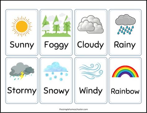 Preschool Weather Chart, Weather Names, Weather Printables, Weather Unit Study, Weather Flashcards, Weather For Kids, Teaching Weather, Weather Lessons, Preschool Weather