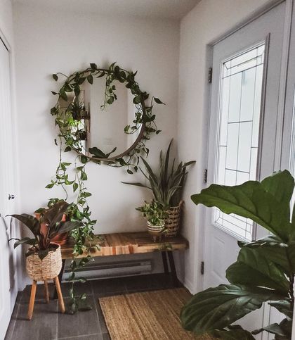 Plant Wall Decor, Plant Decor Indoor, House Plants Decor, Room With Plants, House Plants Indoor, Plant Wall, Rooms Home Decor, Creative Decor, Home Decor Bedroom