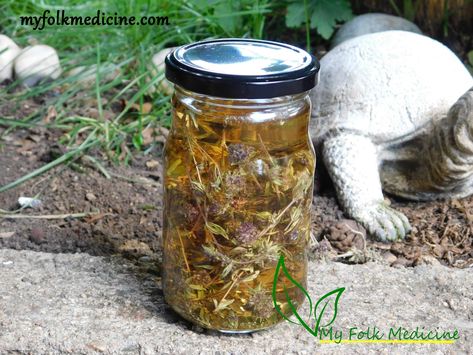 Comfrey Tincture Recipe, Cilantro Tincture, Thyme Tincture, Homemade Tinctures, Health Benefits Of Thyme, Garden Apothecary, Thyme Benefits, Upper Respiratory Tract, Tinctures Recipes