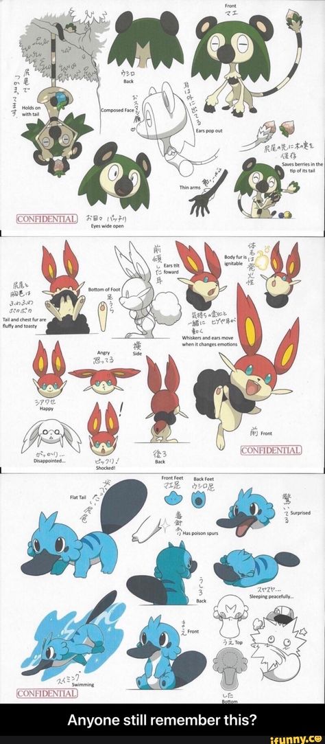 Anyone still remember this? – popular memes on the site iFunny.co Fakemon Starters Evolution, Fanmade Pokemon Starters, Pokemon Fanmade Starters, Gen 8 Pokemon, New Pokemon Starters, Pokemon Fanmade, Fan Pokemon, Fanmade Pokemon, Pokemon Fake