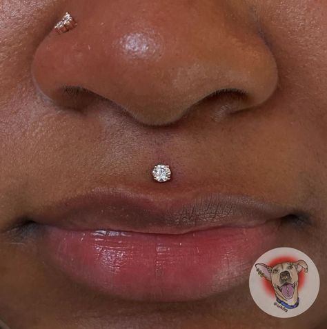 Madussa Piercing, Throat Piercing, Medusa Piercing Jewelry, Double Nose Piercing, Piercing Inspo, Medusa Piercing, Piercings For Girls, Cute Piercings, Tongue Piercing