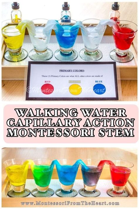 Montessori Stem Activities, Stem Experiments Preschool, Montessori Experiments, Easy Experiments For Kindergarten, Montessori Color Activities, Montessori Science Activities, Experiment For Preschoolers, Kids Science Experiment, Color Activities For Toddlers