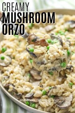 Mushroom orzo pasta is a creamy, easy recipe that is a delicious departure from a regular rice side dish. Made with orzo, mushrooms, and peas in a creamy parmesan sauce this orzo risotto looks as elegant as it tastes! #spendwithpennies #stovetoporzo #mushroomorzo #orzorecipe #sidedish #creamypastadish Orzo Easy, Orzo Recipes Side, Orzo Rice, Mushroom Orzo, Orzo Risotto, Orzo Dishes, Creamy Pasta Dishes, Pasta Side Dishes, Rice Side