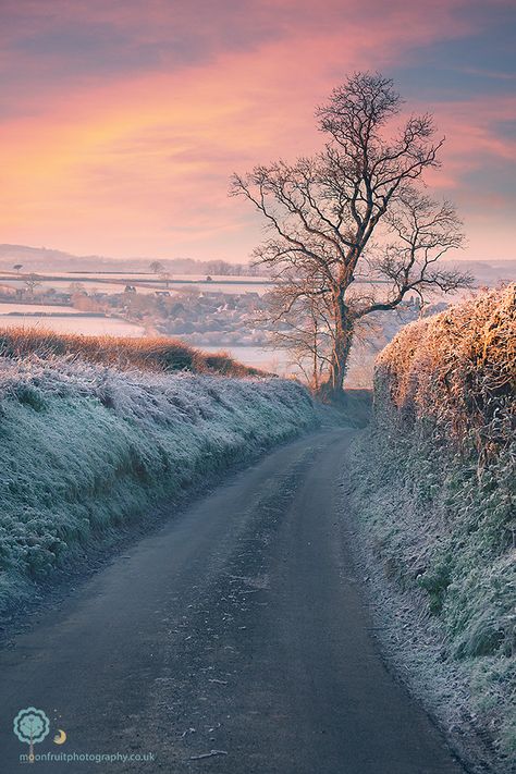 Frosty Morning, English Christmas, Inspirational Photos, Stunning Landscapes, Winter's Tale, Winter Light, Dirt Road, Winter Scenery, Winter Beauty