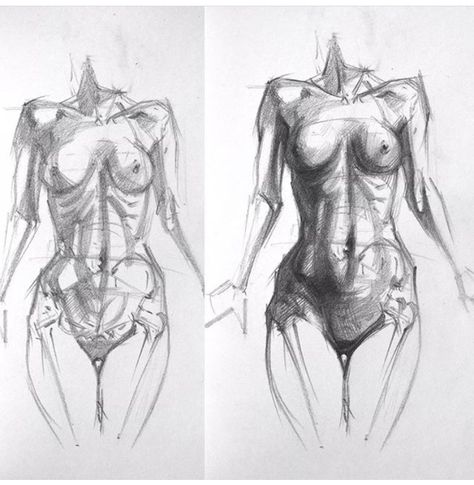 Human Body Drawing, Human Anatomy Drawing, Human Figure Drawing, Human Anatomy Art, Anatomy Sketches, Figure Sketching, Arte Sketchbook, Anatomy Drawing, Body Drawing