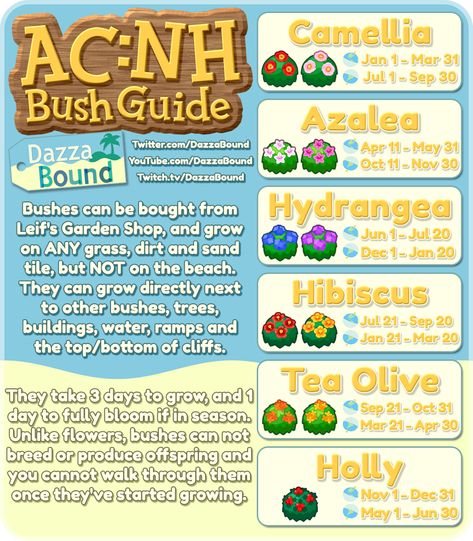 DazzaBound ACNH Bush Guide - Album on Imgur Acnh Bushes, Rainbow Clothes, About Rainbow, Animal Crossing Memes, Animal Crossing Guide, Acnh Designs, Animal Crossing Characters, Animal Crossing Villagers, Animal Crossing Pocket Camp