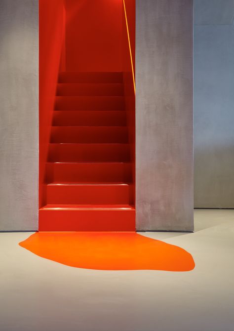 Basement Stairs, Painted Stairs, Stair Decor, Orange Paint, Wall Finishes, Staircase Design, Stairs Design, Ideas Home, Interior Paint