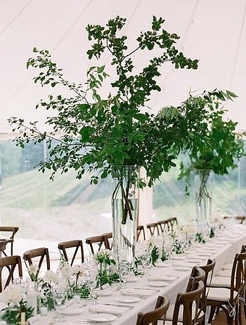 Cheap Wedding Table Centerpieces, Branch Centerpieces Wedding, Wedding Centerpieces Ideas, Greenery Wedding Centerpieces, Greenery Centerpiece, Autumn Wedding Reception, Tall Wedding Centerpieces, Centerpieces Ideas, Wedding Greenery