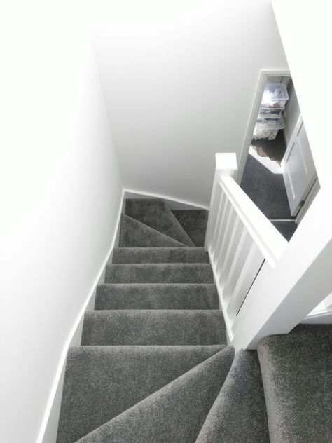 Stairs grey carpet white walls Grey Carpet Upstairs, Gray Carpet White Walls Living Room, Stairs Grey Carpet, White And Grey Hallway And Stairs, Grey Carpets For Stairs And Landing, Grey Stair Carpet Ideas, Stairs Ideas Carpet, Grey Carpet Staircase, Grey Carpet Hallway And Stairs