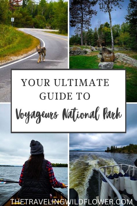 Explore Voyageurs National Park- the least traveled National Park in the USA! Voyageurs National Park, Midwest Road Trip, National Parks America, Apostle Islands, National Park Camping, Minnesota Travel, Lake Trip, National Parks Usa, National Parks Trip