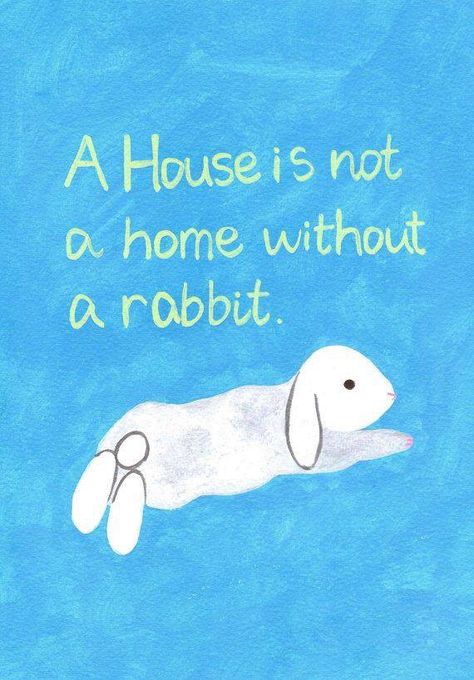 Bunny Acrylic Painting, Crazy Bunny Lady, Pet Rabbit Care, Bunny Quotes, Bunny Room, Pet Bunny Rabbits, Bunny Stuff, Indoor Rabbit, Rabbit Animal