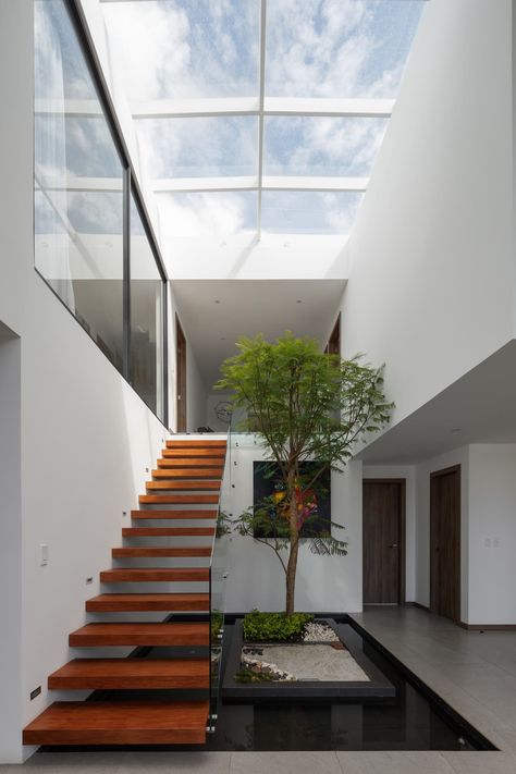 Photo 1 of 5 in Top 5 Homes of the Week With Standout Staircases - Dwell Modern Staircases, Stairs In Living Room, Japanese Home Decor, Glass Staircase, Lan Can, Home Stairs Design, Patio Interior, Modern Staircase, House Outside Design