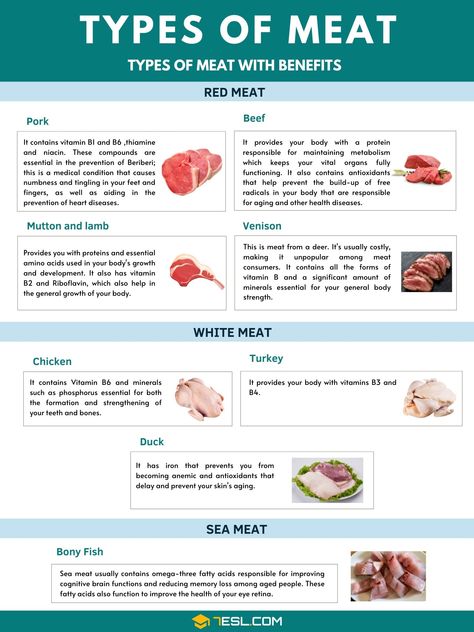 Carnivore Md, Processed Food List, Red Meat Recipe, Capsule Pantry, Nice Dp For Whatsapp, Mutton Meat, Culinary Basics, Anti Vegan, Dr Jason Fung