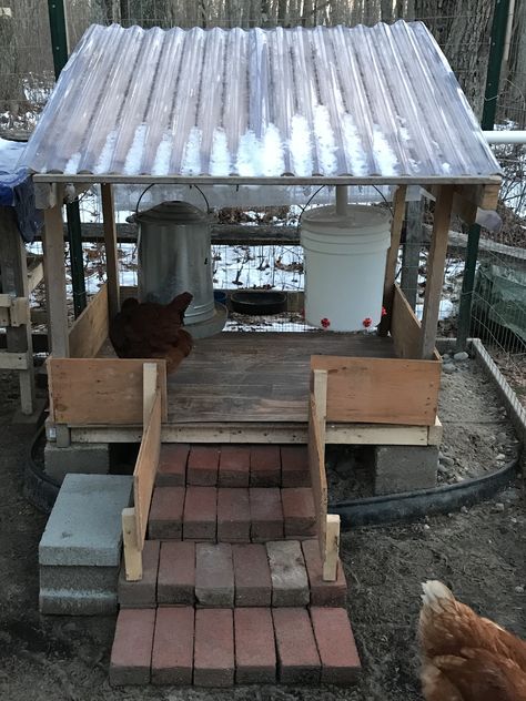 Chicken Food And Water Station, Wildlife Feeding Station, Chicken Feeding Station, Bird Feeders Diy, Cute Chicken Coops, Chicken Coop Garden, Chicken Barn, Chicken Poop, Backyard Chicken Coop Plans