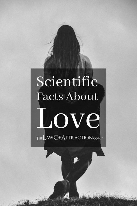 Psychological Facts Interesting Feelings, Facts About Love, Science Of Love, Scientific Facts, Signs He Loves You, Psychological Facts Interesting, Manifest Love, Law Of Attraction Love, Love Facts