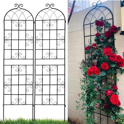 Climbing Plants Outdoor, Large Trellis, Metal Garden Trellis, Trellis Netting, Food Plot, Rose Trellis, Outdoor Trellis, Plants Outdoor, Trellis Plants