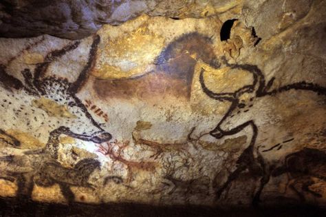 Prehistoric paintings in the Lascaux caves. (Photo by Philippe Wojazer/AFP/Getty Images) We have always dreamed. Lascaux Cave Paintings, Prehistoric Painting, Chauvet Cave, Prehistoric Cave Paintings, Paleolithic Art, Bull Painting, Ancient Paintings, Prehistoric Art, Cave Paintings