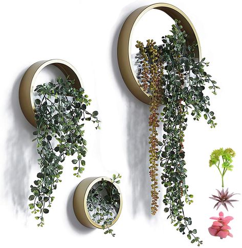 Amazon.com: 3 Pack Set Modern Wall Planters Succulent Planter Circle Metal Flower Pot Indoor Air Plant Vertical Container Hanging Vase Home Decoration Size S,M,L Dark Khaki, with 3 Artificial Succulent Plants: Garden & Outdoor - Affiliate Link Wall Plant Pot, Succulent Wall Hanging, Wall Terrarium, Flower Pot Indoor, Succulent Wall Planter, Metal Wall Planters, Vintage Flower Pots, Wall Planters Indoor, Hanging Wall Planters